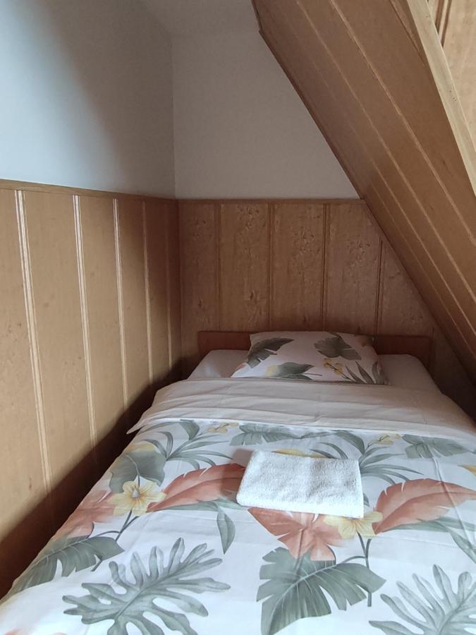 Willa Ewelinka Zakopane Dış mekan fotoğraf